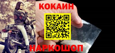 стафф Кингисепп