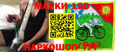 стафф Кингисепп