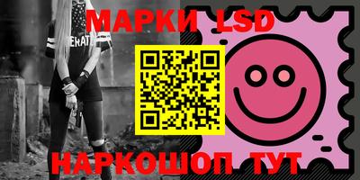 стафф Кингисепп