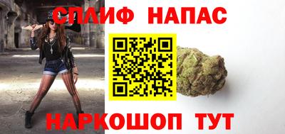 стафф Кингисепп