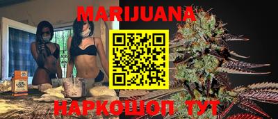 стафф Кингисепп