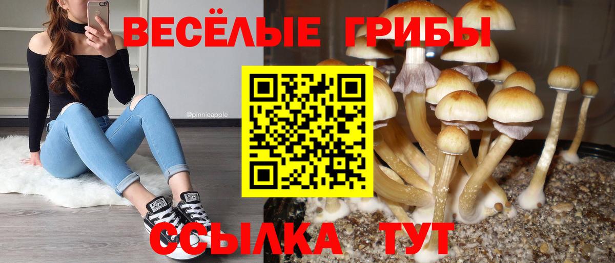 Галлюциногенные грибы Cubensis Крымск