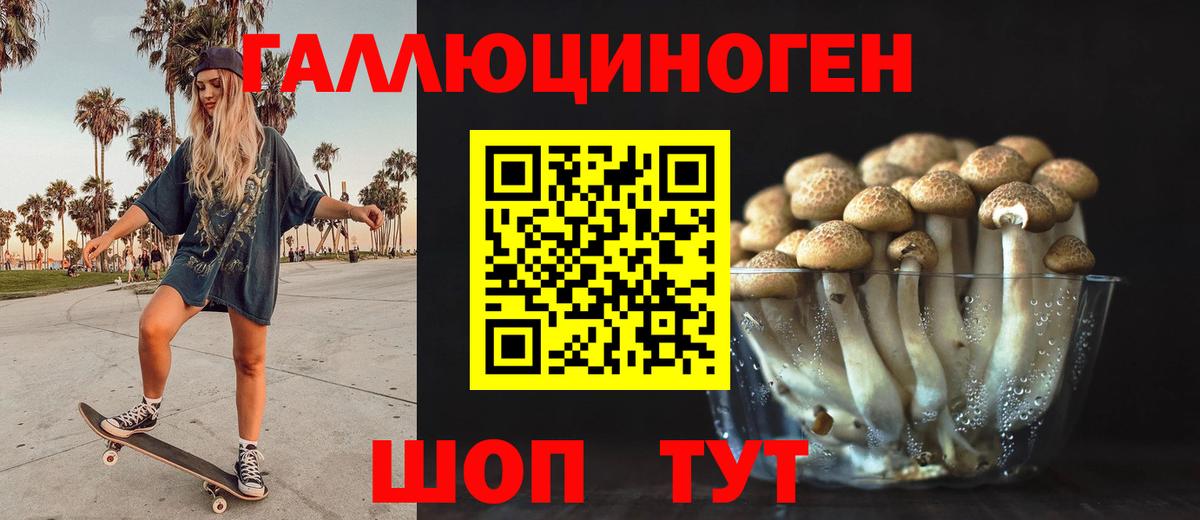 Крымск  Галлюциногенные грибы GOLDEN TEACHER  Вход с VPN  Галлюциногенные грибы Magic Shrooms 