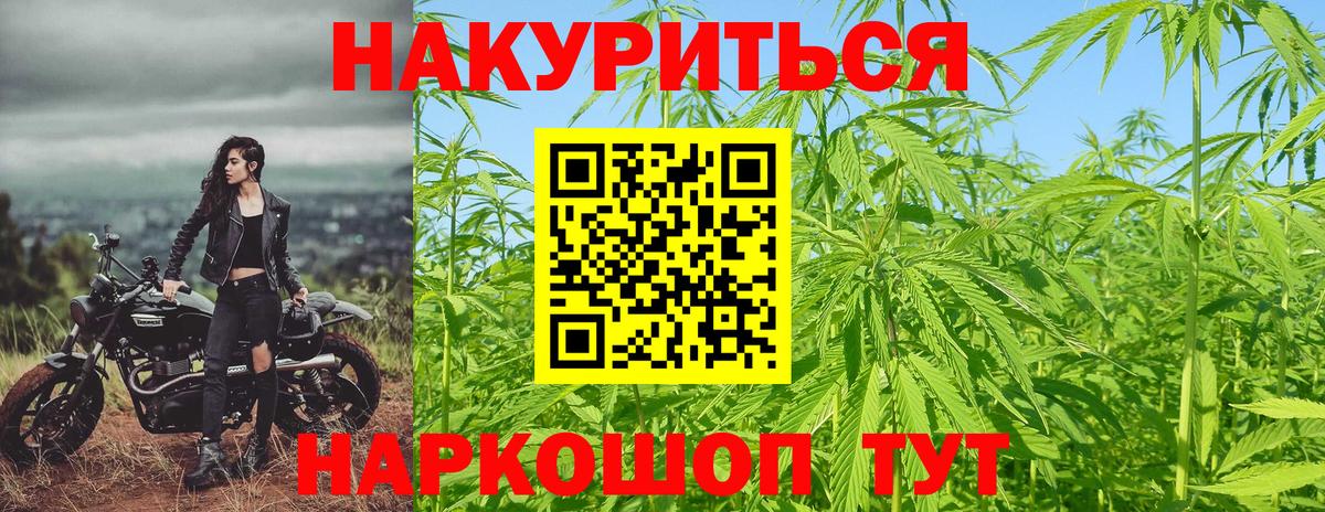 Марихуана план Крымск